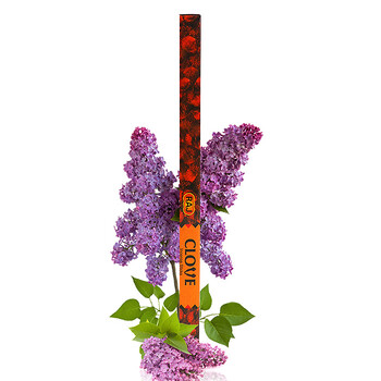 RAJ印度香薰 进口纯手工香熏香料 线香棍香 丁香 18g*10小盒 抗菌消炎 074x