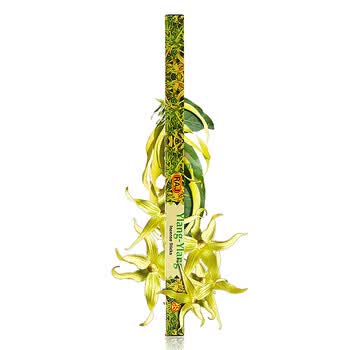 RAJ印度熏香 进口纯手工香薰香料 线香棍香 依兰 18g*10小盒 改善性冷淡 086x