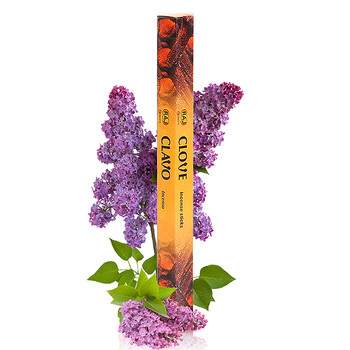 RAJ印度香 进口纯手工香薰香料 线香棍香 丁香 50g*3小盒 抗菌消炎 111x