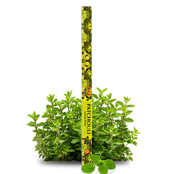 RAJ印度香熏 进口纯手工香薰香料 线香棍香 草汁 18g*10小盒 驱蚊 舒缓压力 138x