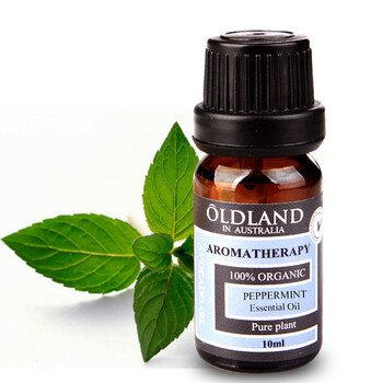 OLDLAND欧丹兰 单方 椒样薄荷 10ML 控油 提神
