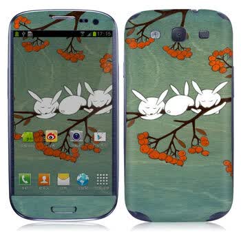 IdeaSkin 三星 I9300 Galaxy SIII / I9308 / I939 皮肤 午睡中 外壳保护套皮贴膜 DCUD062169