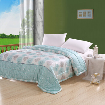 smilings丝曼琳家纺 床上用品 被子被芯 夏季空调被 冰丝被 夏的里程 200*230