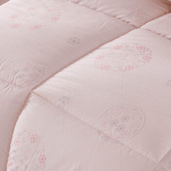 lakrina 可芮娜 秋冬被 加厚超柔双人被 羽丝绒被 加厚被芯被子 200*230cm玫瑰之夜-玉色