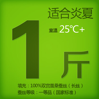 钱皇正品 100%桑蚕丝被桐乡手工被芯/子春/冬被 单/双人 爱尚 斜纹 蚕丝净重1斤 200x230cm