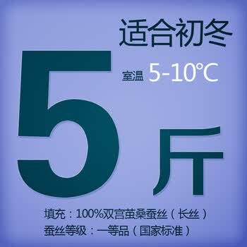 钱皇正品 100%桑蚕丝被桐乡手工被芯/子春/冬被 单/双人 爱尚 斜纹 蚕丝净重5斤 220x240cm