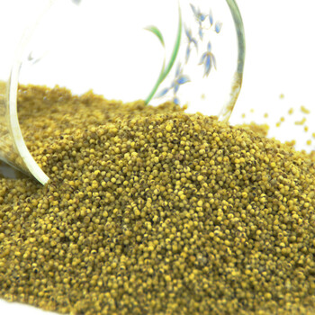 山西特产免淘洗绿小米500g*2袋【天下谷绿维米】营养