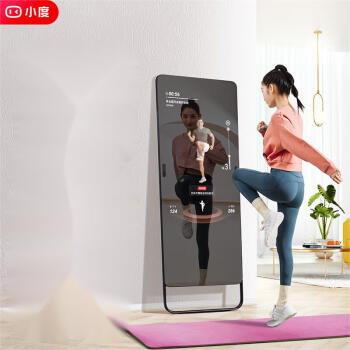 小度添添智能健身镜 小度AI助手 魔镜 AI智能健身镜子 双麦K歌视频家庭减肥运动跳舞瑜伽室内运动镜 会员版 