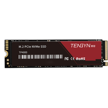 腾隐（TENGYIN）精选长江存储晶圆台式机笔记本SSD固态硬盘PCIe4.0 NVMe TP4000PRO 4TB 7500MB/S\t