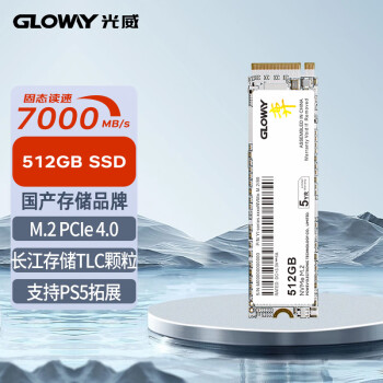 光威（Gloway）512GB SSD固态硬盘 M.2接口(NVMe协议) PCIe 4.0x4  长江存储TLC颗粒 弈系列