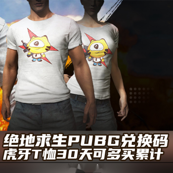 绝地求生pubg虎牙t恤短袖上衣激活码兑换码cdk礼包非吃鸡