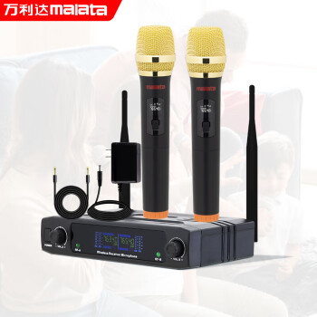万利达（Malata）ST-6601一拖二专业无线麦克风KTV演讲主持话筒
