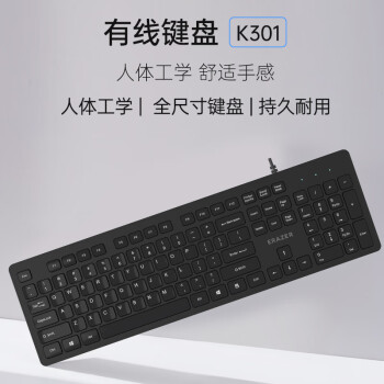 联想（Lenovo）异能者 有线键盘 K301 键盘 有线 商务办公键盘 全尺寸键盘 即插即用 笔记本电脑键盘【黑色】