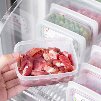 viGo 冰箱冻肉盒分格冷冻盒密封盒保鲜盒葱姜蒜米饭分装盒 20个起售