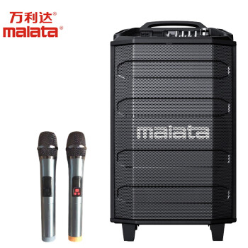 万利达（Malata）家庭家用k歌蓝牙大功率8英寸低音炮广场舞音响音箱户外移动便携式带双麦克风