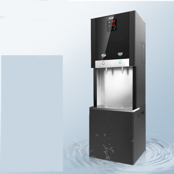 德玛仕 商用净水器直饮机大型净化加热一体开水器饮水机节能 2W605（两出水口 60升水箱）