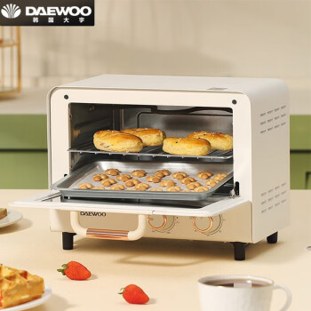 大宇（DAEWOO） 电烤箱 蒸烤箱蒸烤一体机 烘焙多功能电烤箱家用迷你精准控温立体加热 DY-KX01