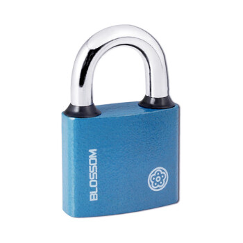 海豚制水挂锁 铜芯铁锁 室内外大门锁50MM蓝色BC2950