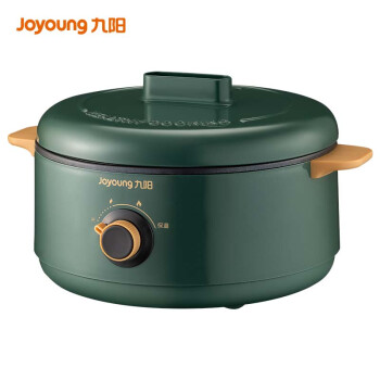 九阳（Joyoung）电炖锅 多功能料理锅电火锅电煮锅家用2L电火锅 DG20G-GD160（绿）