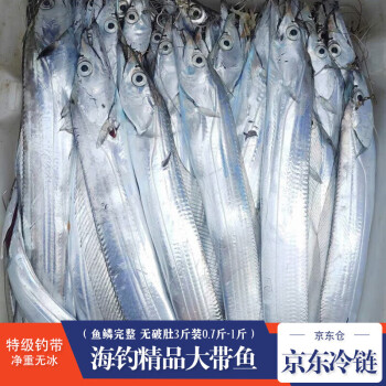 棠鲜生带鱼 精品海钓带鱼 新鲜特大整条带鱼礼盒整箱 海鲜水产生鲜鱼类 3斤装（0.7斤-1斤/条）