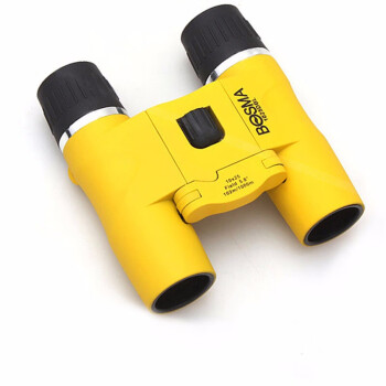 雷龙（leaysoo）悦影10X25便携黄儿童成人双筒望远镜高清高倍户外登山旅游演唱会 银色