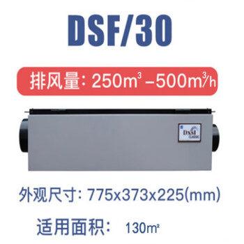 德西森立（DXSL）DSF-30新风净化除湿机恒湿机工业商用写字楼除湿吸湿抽湿机器