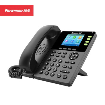 纽曼 IP录音电话 智能电话机 电话会议座机三方通话HL2008TSD-758(R)超长版  录音4480小时