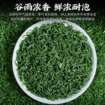 御骏  茶叶绿茶2023新茶 雨前浓香型绿茶高山茶袋装250g