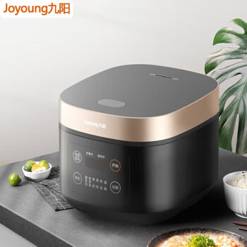 九阳（Joyoung）家用厨房电饭煲 4L大容量860W功率电饭煲 F40FZ-F531（B)