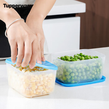 特百惠（Tupperware）冰箱冷冻保鲜盒700mlx2(颜色随机)家用食品级密封收纳盒