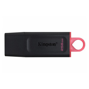 金士顿（Kingston）U盘  256GB USB3.2 Gen 1 DTX 时尚设计 轻巧便携