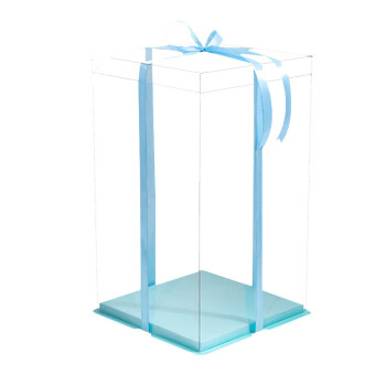 京忻 蛋糕盒生日包装盒加高方形定制透明包装盒 半透明10寸双层