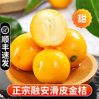 采缇融安滑皮金桔新鲜水果当季整箱金橘脆皮金桔小金桔5斤顺丰礼盒装