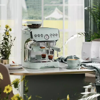 雪特朗（STELANG） 双锅炉双系统意式美式半自动咖啡机磨豆机家用强力蒸汽打奶泡研磨一体机意式咖啡机