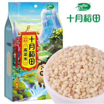 十月稻田 高粱米 1kg (白高粱米 东北 五谷 杂粮 粗粮 真空大米 粥米伴侣)