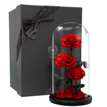 JoyFlower 永生花玫瑰玻璃罩礼盒表白三八妇女节女神节礼物结婚送女友老婆
