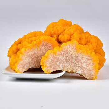 云南菌 新鲜金耳菌 特产黄金耳脑正宗黄木耳黄耳食用菌蘑菇 500G