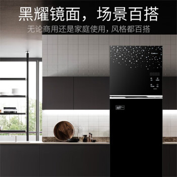 康宝（Canbo）家用立双门大容量 商用厨房碗筷消毒碗柜 高温二星无菌储存高端款XDZ250-DS