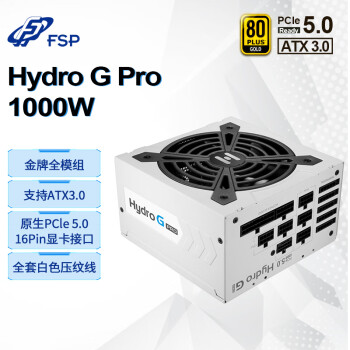 全汉（FSP）额定1000W Hydro G Pro1000 雪装版金牌全模组电源（ATX3.0标准/PCI-E5.0接口/全套白色压纹线）