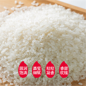 隆平芯米五常香贡5kg 2023新米 五常大米稻花香米十斤