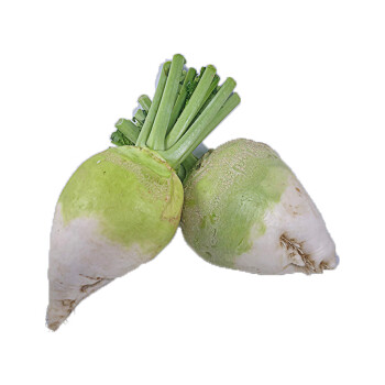 新鲜蔬菜芥菜疙瘩应季当季芥菜头腌制咸菜丝蔬菜5斤10