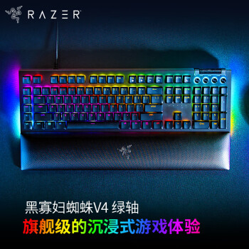 雷蛇 Razer 黑寡妇蜘蛛V4   游戏机械键盘 RGB背光 电竞游戏 绿轴