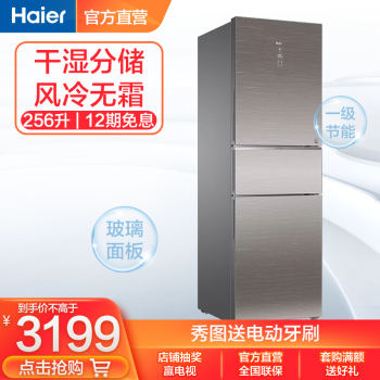 Haier/海尔冰箱三门 256升变频风冷无霜家用电冰箱三开门大容量一级能效BCD-256WDGR 玻璃外观 干湿分储 一级变频 风冷无霜