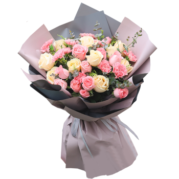 京乐享康乃馨鲜花33朵粉色粉玫瑰混搭花束送全国同城配送