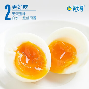 黄天鹅可生食鸡蛋30枚