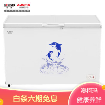 澳柯玛（AUCMA）307升带锁卧式家用商用大容量冰柜 冷藏冷冻转换单温单箱顶开门冷柜  BC/BD-307HNE