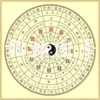 十二辟卦卦象图中医养生太极八卦图二十四节气脏腑经络装饰画286淡