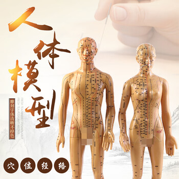 子彧ziyu硬模型中医经络图针灸人体穴位模型全身男小人铜人纯铜超清晰