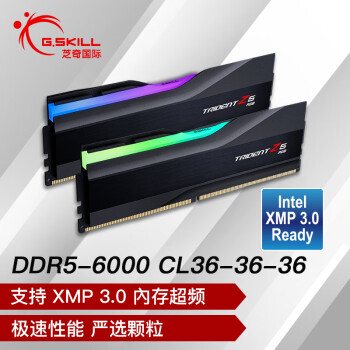 G.SKILL 芝奇 幻锋戟系列 DDR5 6000MHz RGB 台式机内存 灯条 黯雾黑 32GB 16GBx2 F5-6000J3636F16GX2-TZ5RK
