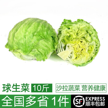 新鲜球生菜10斤汉堡用西生菜圆生菜西餐沙拉色拉食材健康轻食蔬菜10斤